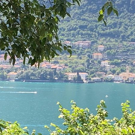 Apartment Casa Dono Il Lago Pognana Lario Buitenkant foto