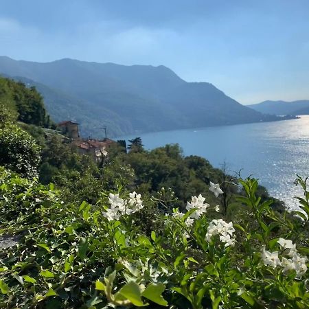 Apartment Casa Dono Il Lago Pognana Lario Buitenkant foto