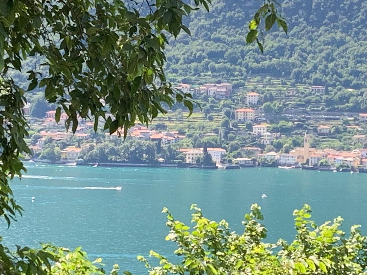 Apartment Casa Dono Il Lago Pognana Lario Buitenkant foto