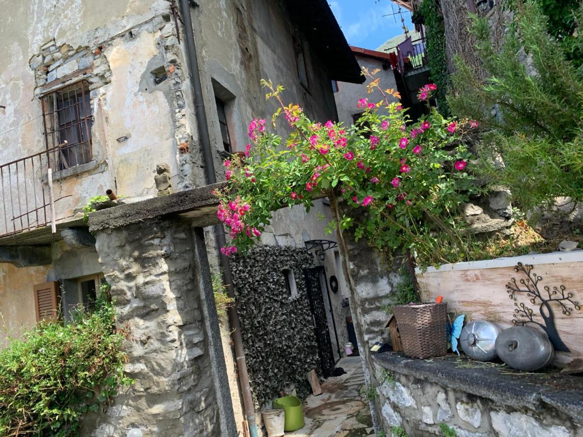 Apartment Casa Dono Il Lago Pognana Lario Buitenkant foto