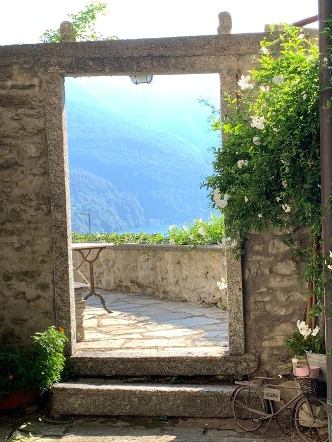 Apartment Casa Dono Il Lago Pognana Lario Buitenkant foto