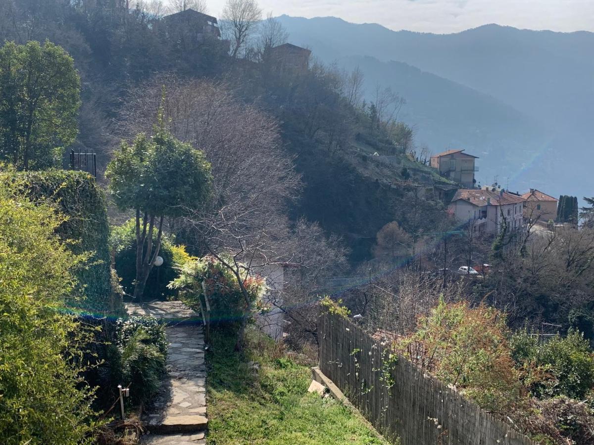 Apartment Casa Dono Il Lago Pognana Lario Buitenkant foto
